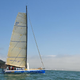 Illustration for article titled Pegasus Open 50, The Official Transpac Raceboat of Gizmodo